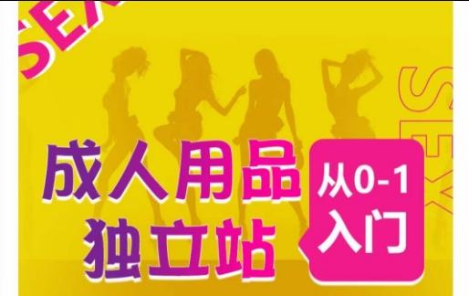 成人用品独立站从0-1入门，成品独立站运营全流程教学，七大好卖成品独立站推荐-泱泱学习社