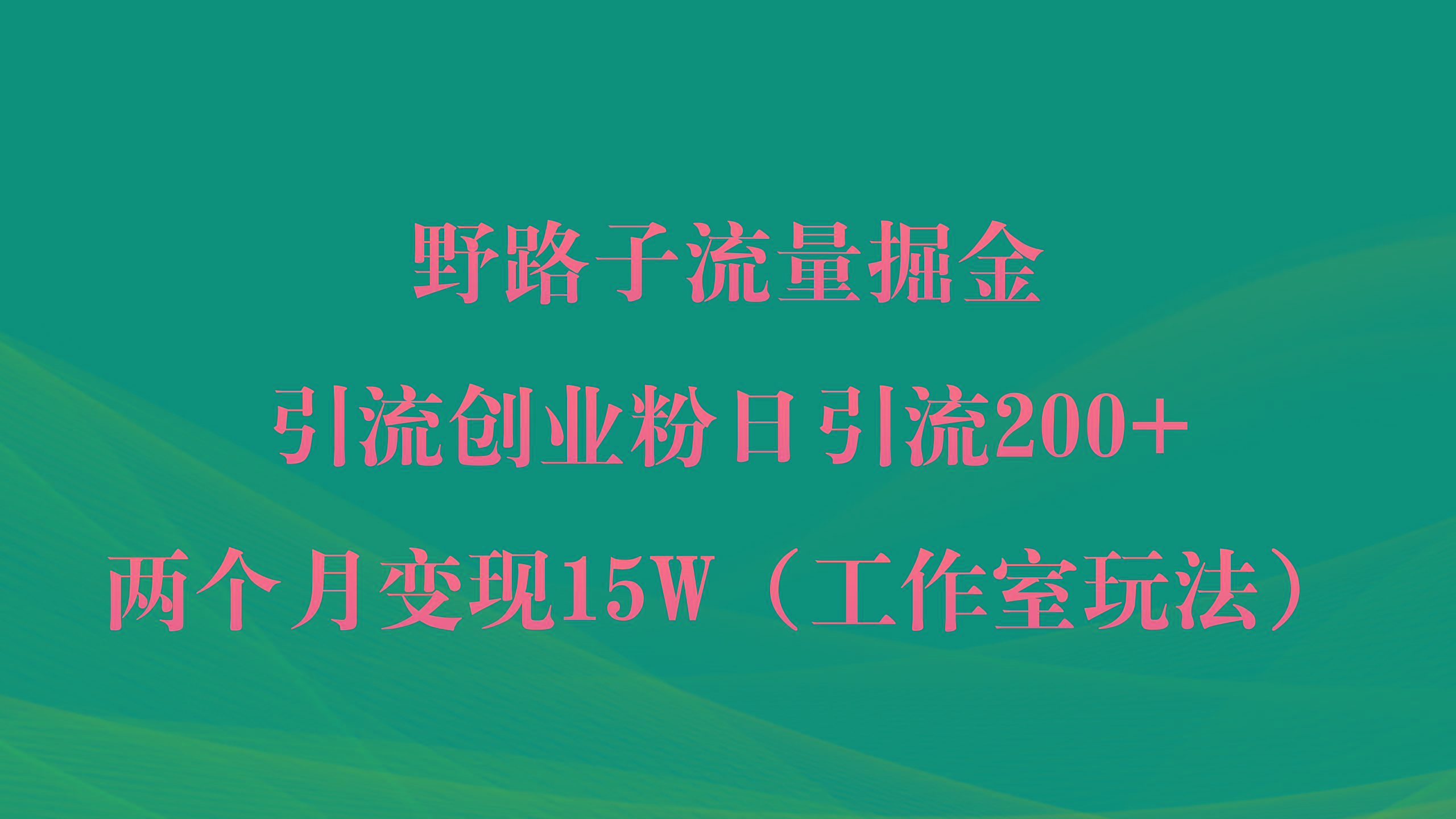 (9513期)野路子流量掘金，引流创业粉日引流200+，两个月变现15W(工作室玩法))-泱泱学习社
