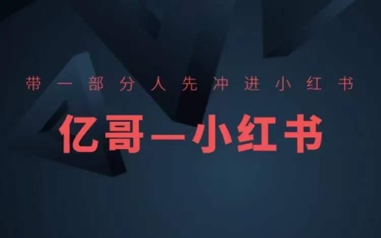 ​​带一部分人先冲进小红书，小红书开店、选品、爆款裂变-泱泱学习社