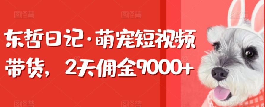 东哲日记·萌宠短视频带货，2天佣金9000+-泱泱学习社