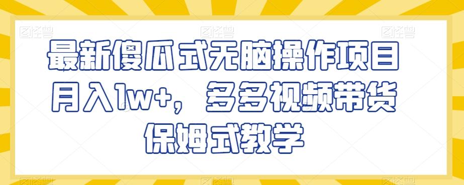 最新傻瓜式无脑操作项目月入1w+，多多视频带货保姆式教学【揭秘】-泱泱学习社