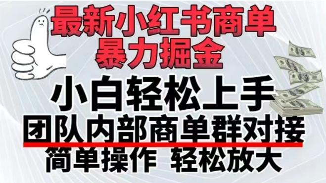 最新小红书商单，暴力掘金，单月稳定变现3W+-泱泱学习社