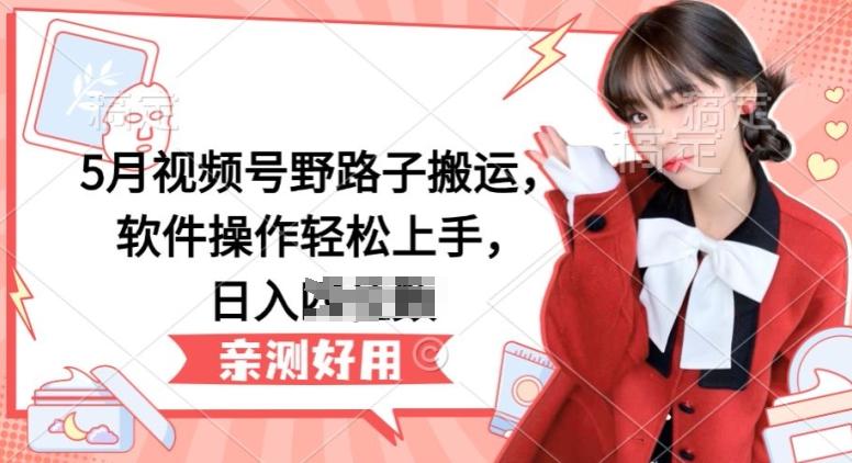 5月视频号野路子搬运，软件操作轻松上手，日入三位数【揭秘】-泱泱学习社