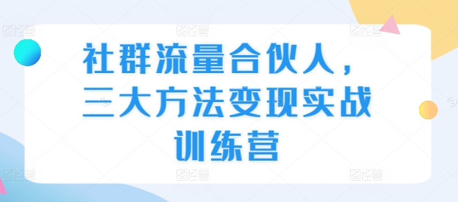 社群流量合伙人，三大方法变现实战训练营-泱泱学习社