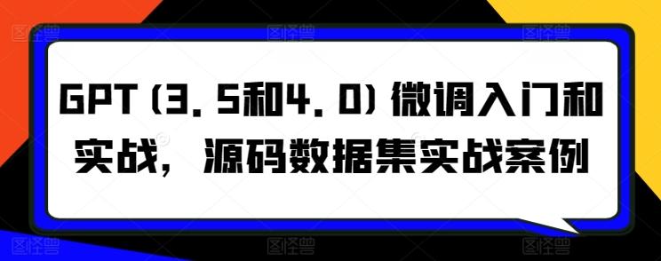 GPT(3.5和4.0)微调入门和实战，源码数据集实战案例-泱泱学习社