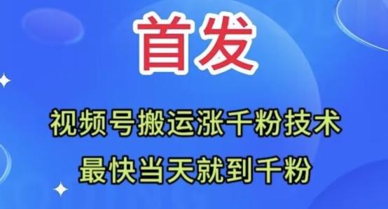 全网首发：视频号无脑搬运涨千粉技术，最快当天到千粉【揭秘】-泱泱学习社