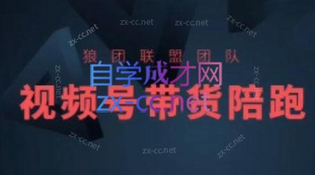 狼团联盟·2024视频号带货-泱泱学习社