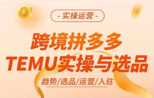 跨境拼多多TEMU实操与选品，多多temu跨境选品运营实操-泱泱学习社