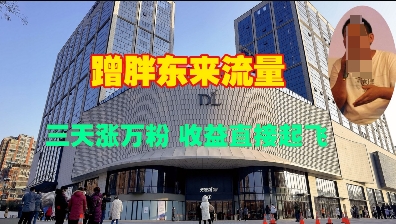 蹭胖东来流量,三天涨万粉,收益直接起飞-泱泱学习社