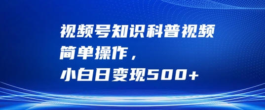 视频号知识科普视频，简单操作，小白日变现500+【揭秘】-泱泱学习社