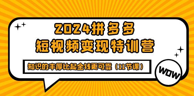 (9817期)2024拼多多短视频变现特训营，知识的丰厚比起金钱更可靠(11节课)-泱泱学习社