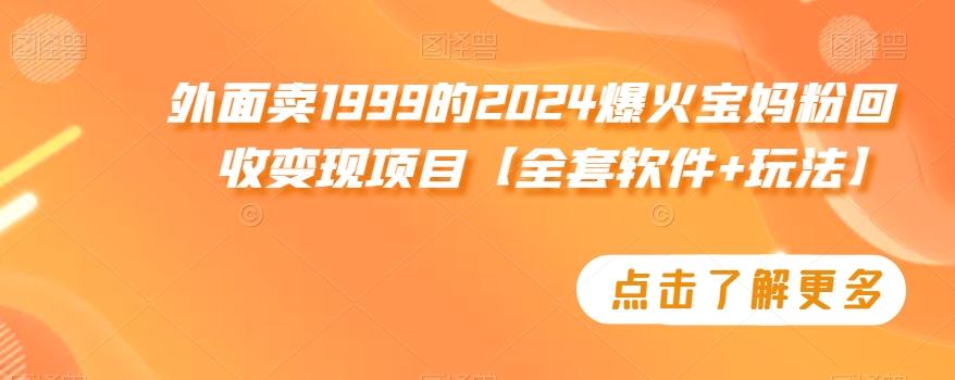 外面卖1999的2024爆火宝妈粉回收变现项目【全套软件+玩法】【揭秘】-泱泱学习社