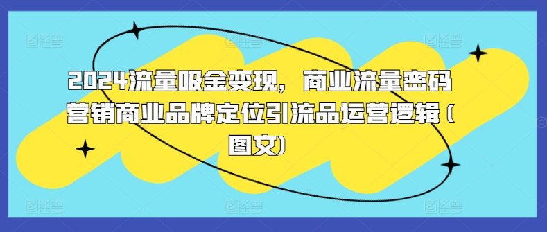 2024流量吸金变现，商业流量密码营销商业品牌定位引流品运营逻辑(图文)-泱泱学习社