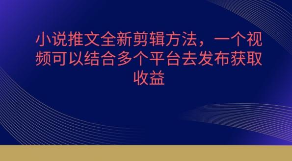 小说推文全新剪辑方法，一个视频可以结合多个平台去发布获取【揭秘】-泱泱学习社