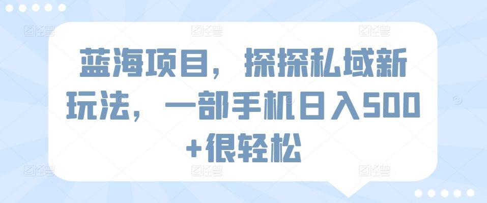 蓝海项目，探探私域新玩法，一部手机日入500+很轻松【揭秘】-泱泱学习社