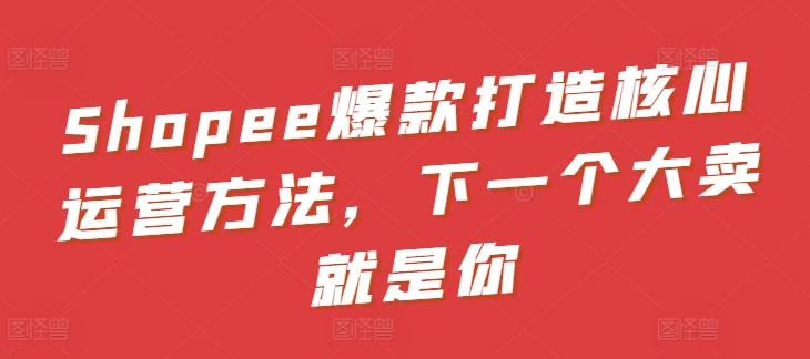 Shopee爆款打造核心运营方法，下一个大卖就是你-泱泱学习社