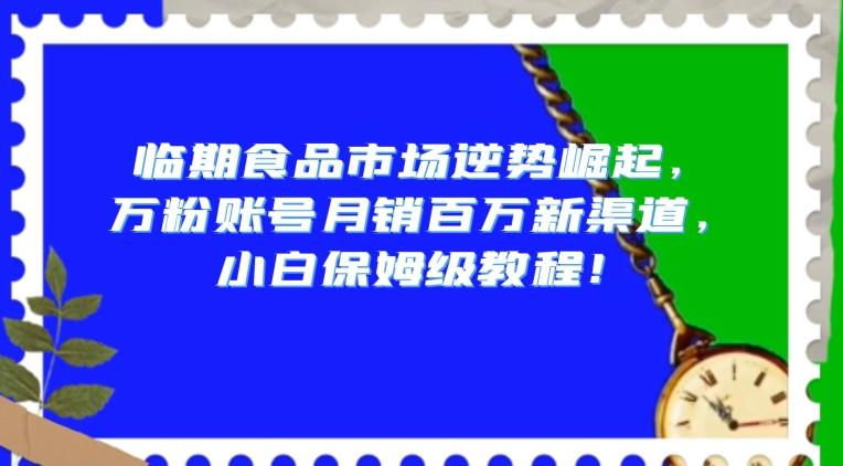 临期食品市场逆势崛起，万粉账号月销百万新渠道，小白保姆级教程【揭秘】-泱泱学习社