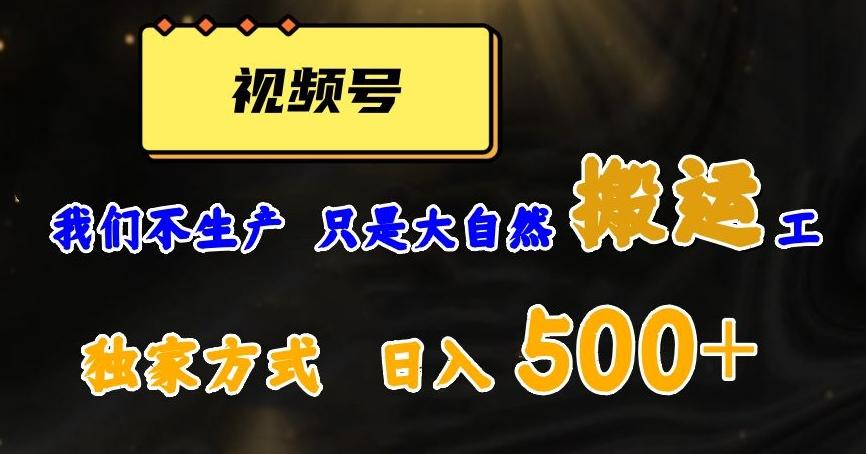 视频号轻松搬运日赚500+，一个1分钟1条原创视频【揭秘】-泱泱学习社