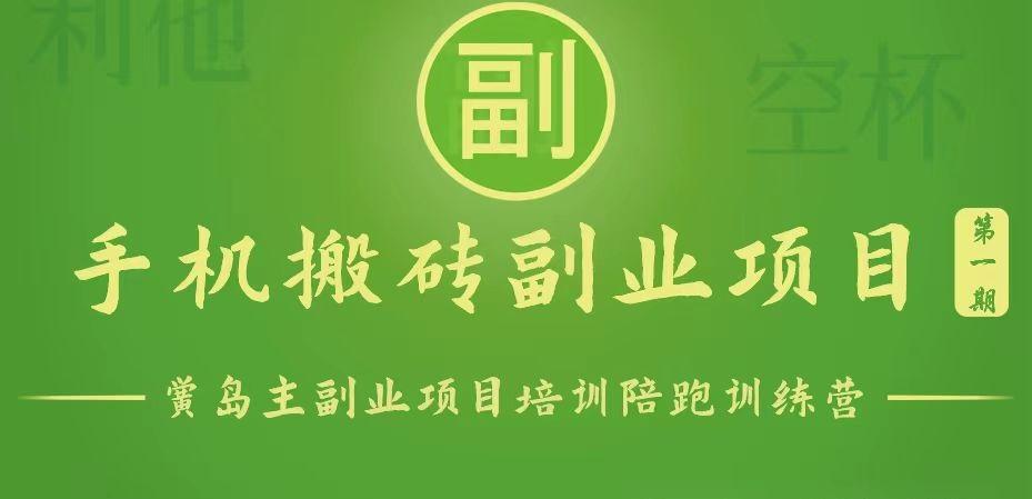 手机搬砖小副业项目训练营1.0，能用手机做的简单小副业-泱泱学习社