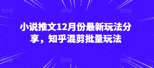 小说推文12月份最新玩法分享，知乎混剪批量玩法-泱泱学习社