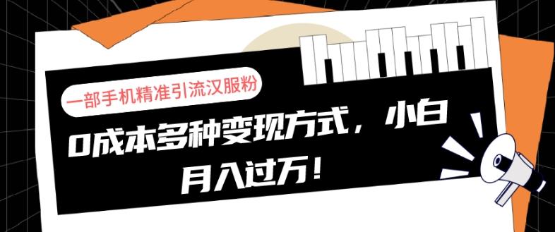 一部手机精准引流汉服粉，0成本多种变现方式，小白月入过万！-泱泱学习社