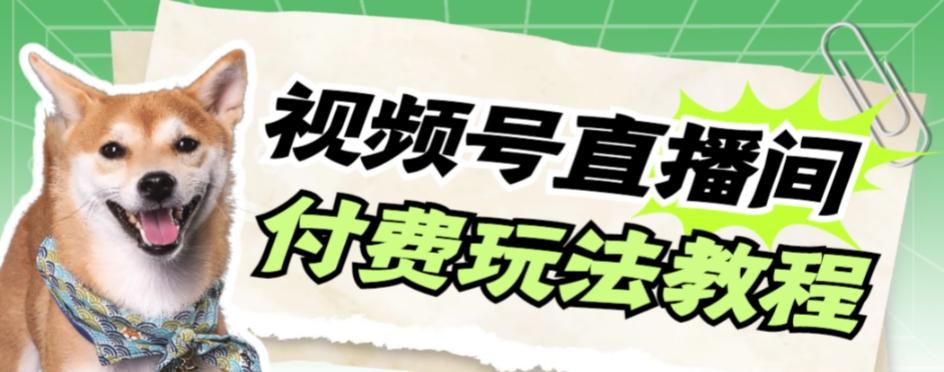 视频号美女付费无人直播，轻松日入500+【详细玩法教程】-泱泱学习社