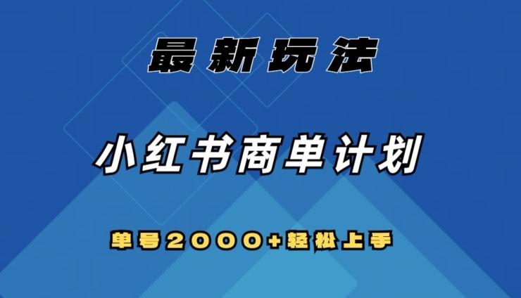 全网首发，小红书商单计划最新玩法，单号2000+可扩大可复制【揭秘】-泱泱学习社