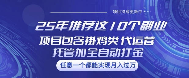 25年推荐这10个副业项目包含褂鸡类、代运营托管类、全自动打金类【揭秘】-泱泱学习社