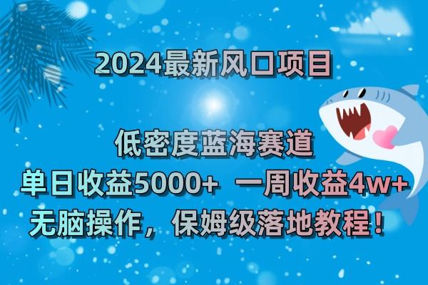 (8545期)2024最新风口项目 低密度蓝海赛道，日收益5000+周收益4w+ 无脑操作，保…-泱泱学习社