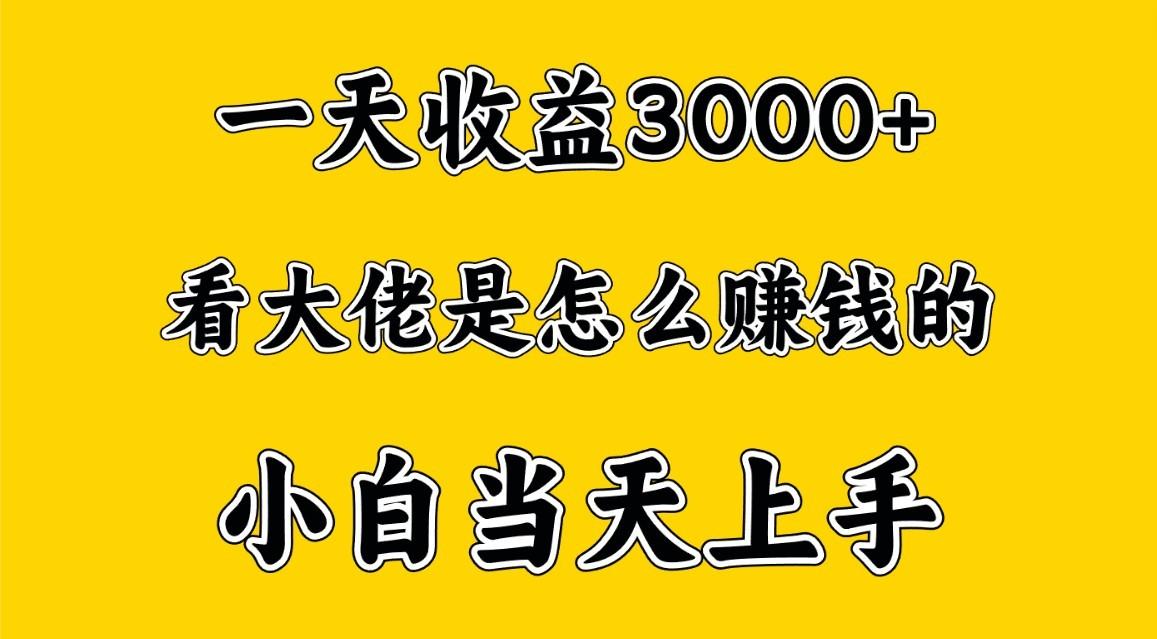 一天赚3000多，大佬是这样赚到钱的，小白当天上手，穷人翻身项目-泱泱学习社