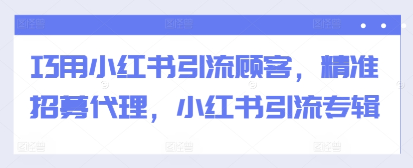 巧用小红书引流顾客，精准招募代理，小红书引流专辑-泱泱学习社