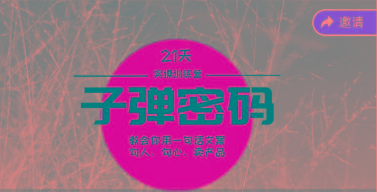 《子弹密码训练营》-用一句话文案勾人勾心卖产品，21天学到顶尖文案大师策略和技巧-泱泱学习社