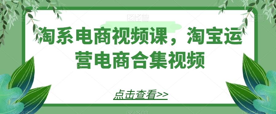 淘系电商视频课，淘宝运营电商合集视频-泱泱学习社