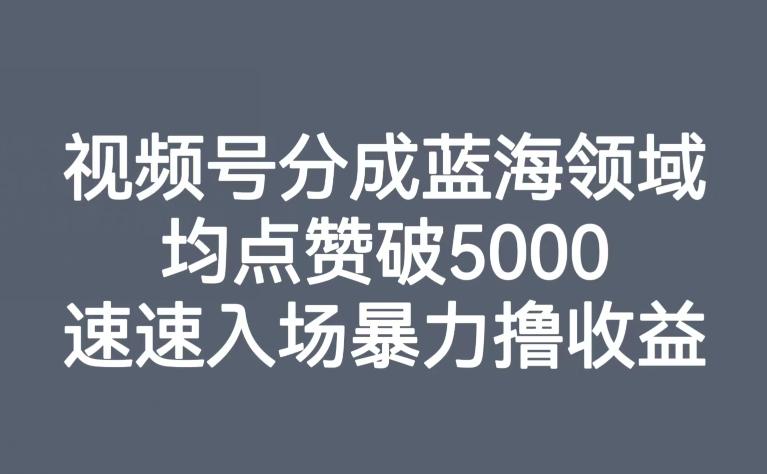 视频号分成蓝海领域，均点赞破5000，速速入场暴力撸收益-泱泱学习社