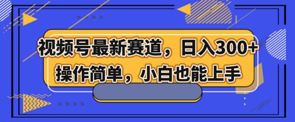 视频号最新赛道，日入300+，新手小白轻松掌握-泱泱学习社