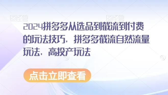 2024拼多多从选品到截流到付费的玩法技巧，拼多多截流自然流量玩法，高投产玩法-泱泱学习社