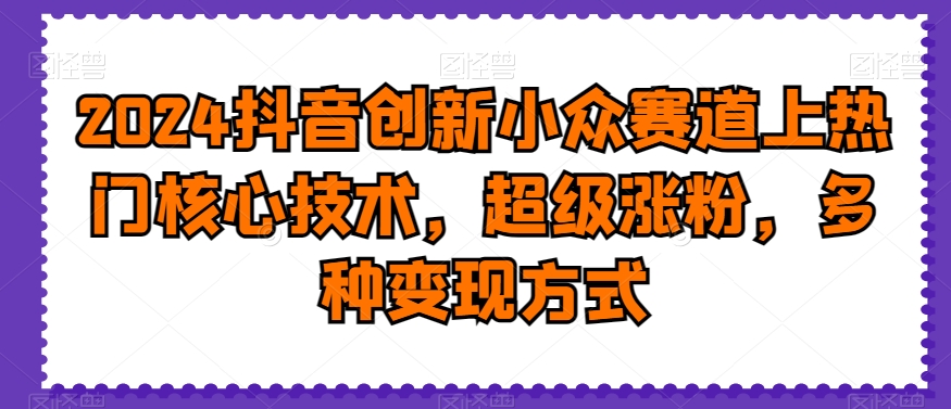 2024抖音创新小众赛道上热门核心技术，超级涨粉，多种变现方式【揭秘】-泱泱学习社