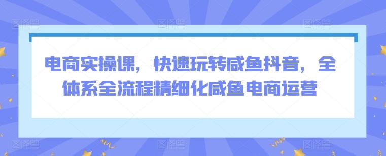 电商实操课，快速玩转咸鱼抖音，全体系全流程精细化咸鱼电商运营-泱泱学习社