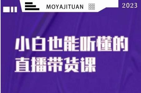 大威本威·能听懂的直播带货课，小白也能听懂，20节完整-泱泱学习社