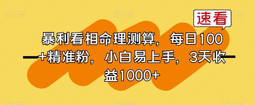 暴利看相命理测算，每日100+精准粉，小白易上手，3天收益1000+【揭秘】-泱泱学习社