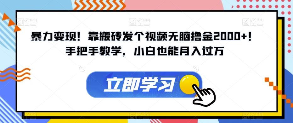 暴力变现！靠搬砖发个视频无脑撸金2000+！手把手教学，小白也能月入过万【揭秘】-泱泱学习社