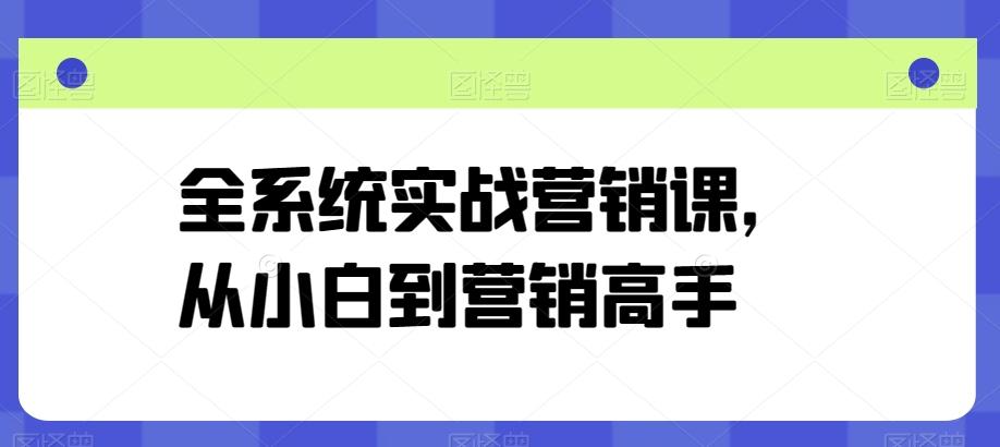全系统实战营销课，从小白到营销高手-泱泱学习社