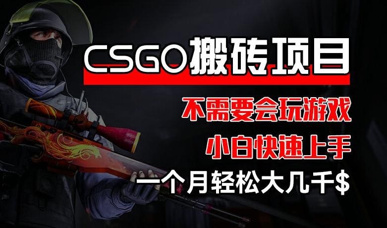 CSGO 装备搬砖项目，操作简单，不需要会玩游戏，小白也能快速上手，一个月轻松大几千【揭秘】-泱泱学习社