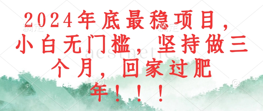 2024年底最稳项目，小白无门槛，坚持做三个月，回家过肥年！！！-泱泱学习社