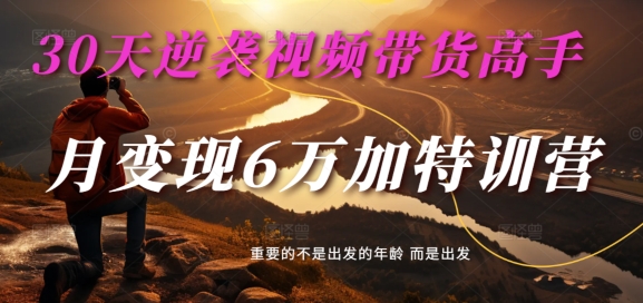 30天逆袭视频带货高手，单月变现6万加特训营-麦子甜-泱泱学习社