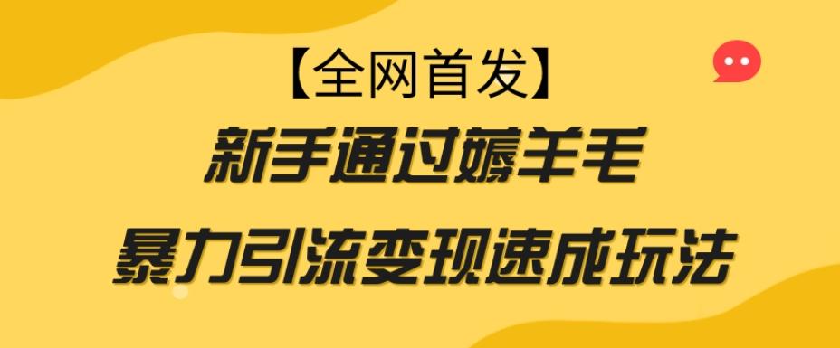【全网首发】新手通过薅羊毛暴力引流变现速成玩法-泱泱学习社