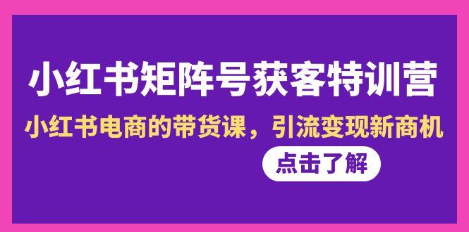 小红书-矩阵号获客特训营-第10期，小红书电商的带货课，引流变现新商机-泱泱学习社