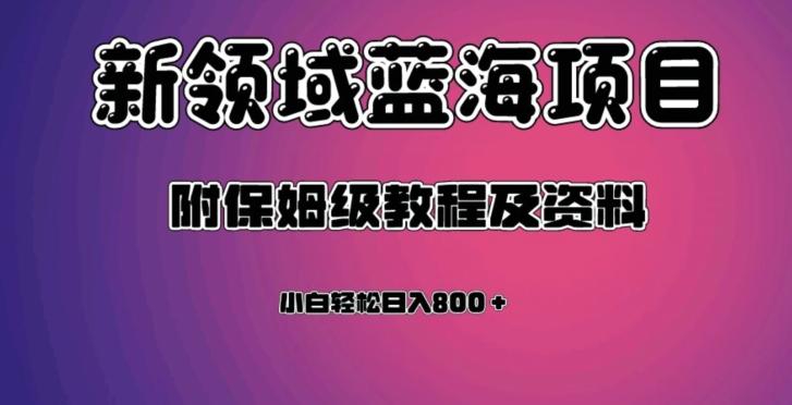 虚拟资源蓝海领域新项目，轻松日入800＋，附保姆级教程及资料-泱泱学习社