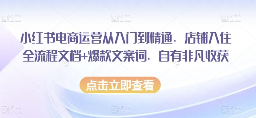 小红书电商运营从入门到精通，店铺入住全流程文档+爆款文案词，自有非凡收获-泱泱学习社