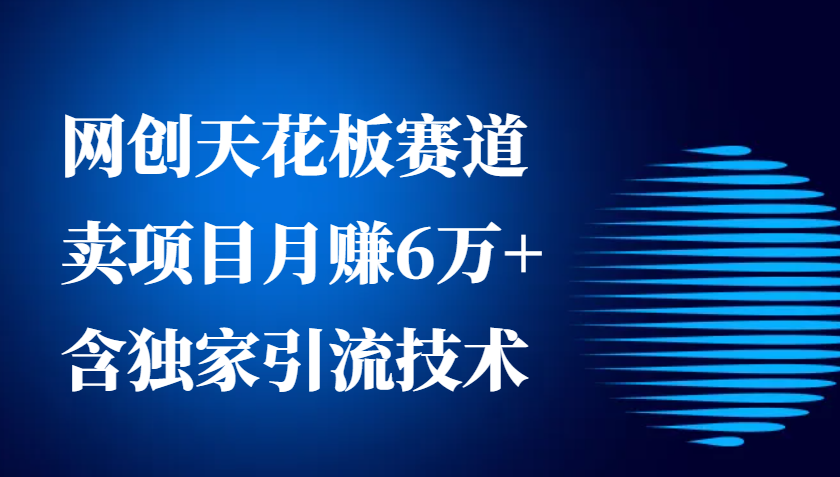 网创天花板赛道，卖项目月赚6万+，含独家引流技术(共26节课)-泱泱学习社